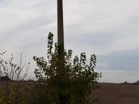 Campo de 41 hectareas Agricola Rueda - Santa Fe,