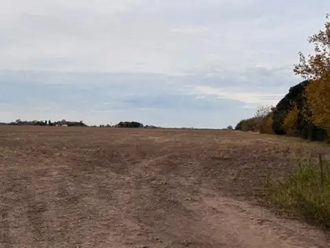 Ruta Provincial 90