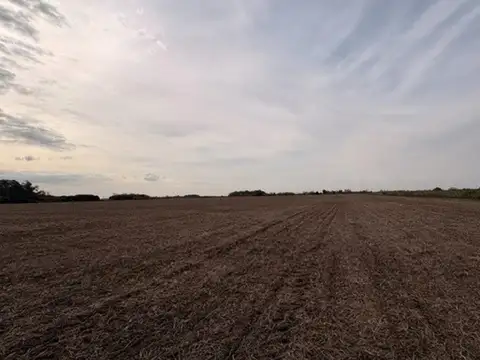 Campo de 41 hectareas Agricola Rueda - Santa Fe,