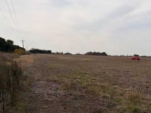 Campo de 41 hectareas Agricola Rueda - Santa Fe,