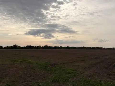 Campo de 41 hectareas Agricola Rueda - Santa Fe,
