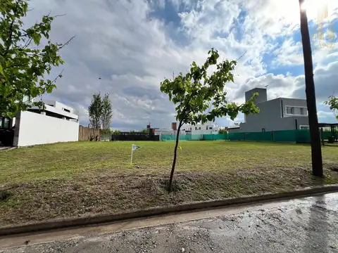 Terreno en Venta de 350,0 m2