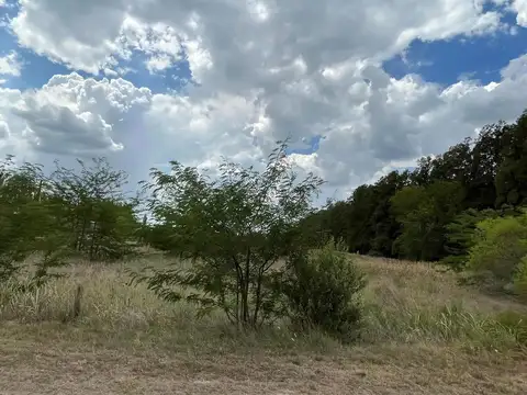 Terreno en Venta de 4,0 m2