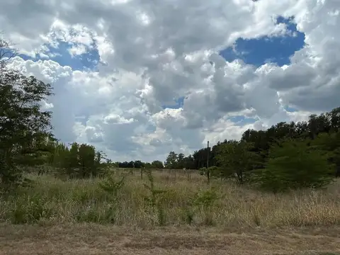 Ubicadas Sobre Ruta 42