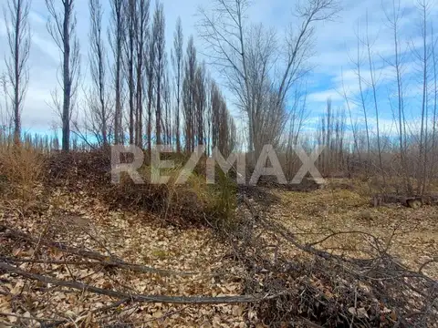 VENTA CHACRA 5,42 HA - SENILLOSA