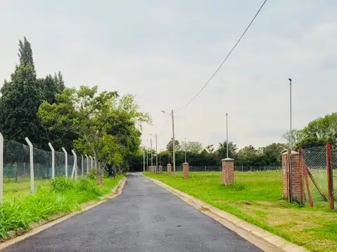 Domingo Nazarre 4000