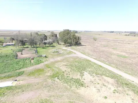 Chacra en Venta de 34 has en Lezama. Ideal para Producir y Disfrutar a 1 hora y media de Buenos Aires.