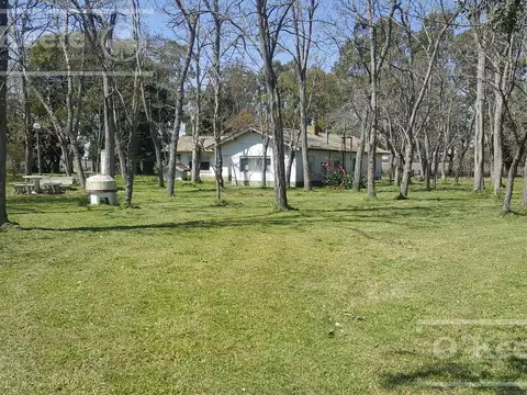 Chacra en Venta de 34 has en Lezama. Ideal para Producir y Disfrutar a 1 hora y media de Buenos Aires.
