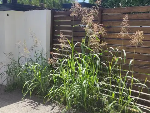 Depto Tipo Casa en Venta de 3 dormitorios