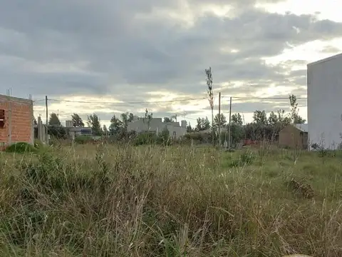 Sobre Colectora Rn14 Km250