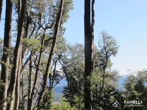 Lote con proyecto aprobado. Villa La Angostura (cod.228)