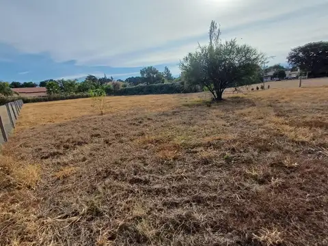 Terreno en Venta en Zona Centro, USD 30.000