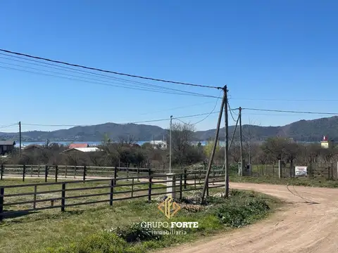Los Espinillos