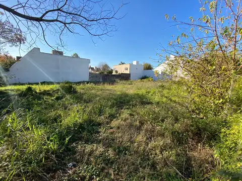 Terreno en Venta 42  mts Fondo