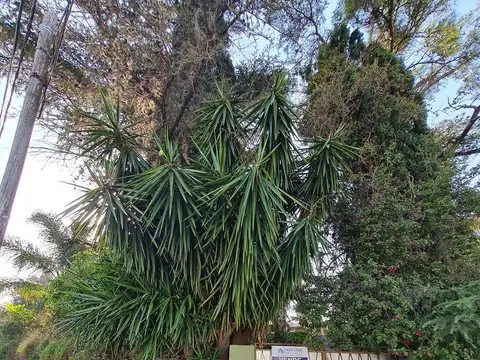 Terreno en Venta de 260,0 m2