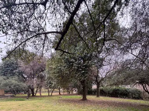 Terreno en Venta de 1000,0 m2