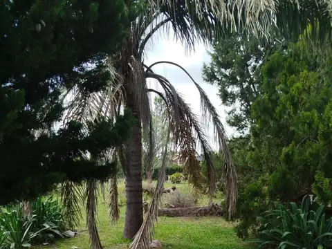 VENTA/PERMUTA - CASA DOS DORMITORIOS MÁS COMODÍN CON PILETA - ANDINO.