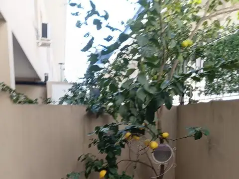 Casa en Alquiler con 1 cochera