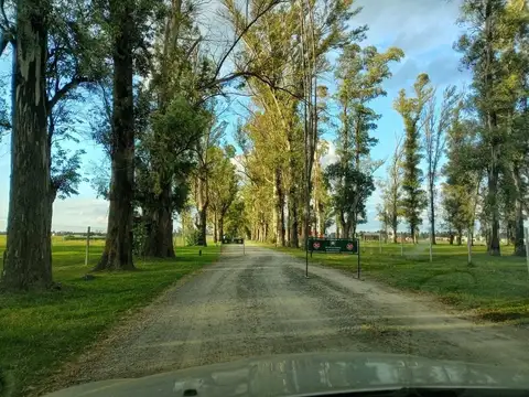 VENTA LOTE BARRIO LOS TRES PINOS GRAL RODRIGUEZ