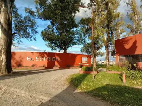VENTA LOTE BARRIO LOS TRES PINOS GRAL RODRIGUEZ