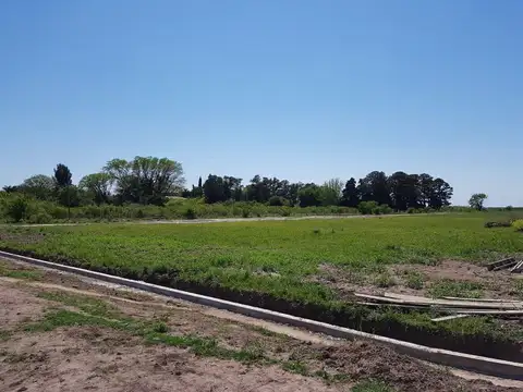 25 de Mayo