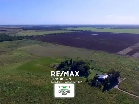 Campo en Venta – 77has Colonia José Mármol