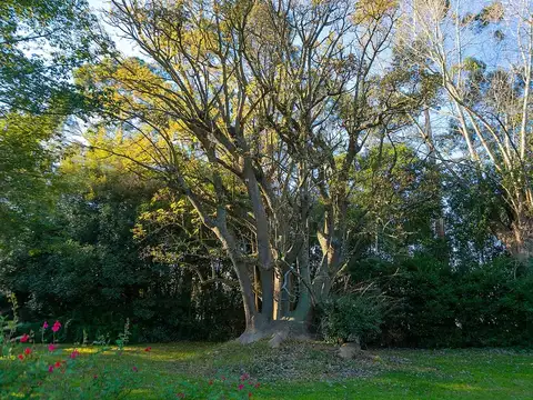 Campo en Venta con Alambrado