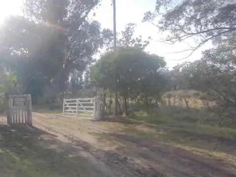 Quinta - Venta - Argentina, Mar del Plata