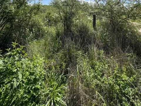 Terreno en Venta 67  mts Fondo