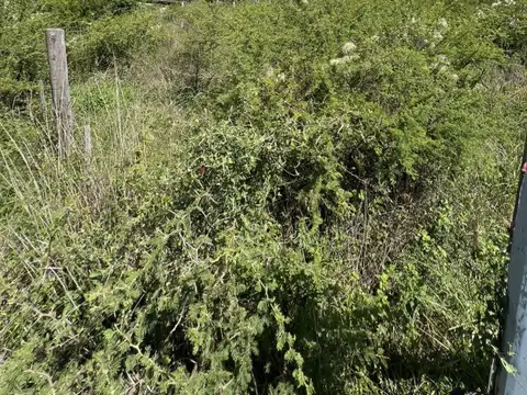 Lote en venta Villa Parque Siquiman