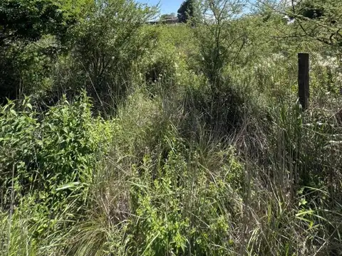Terreno en Venta de 1017,0 m2