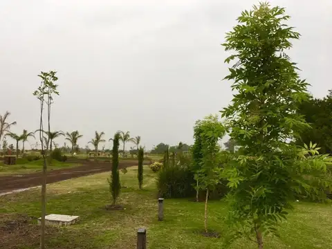 Terreno en venta - 700mts2 - Campos de La Enriqueta, La Plata
