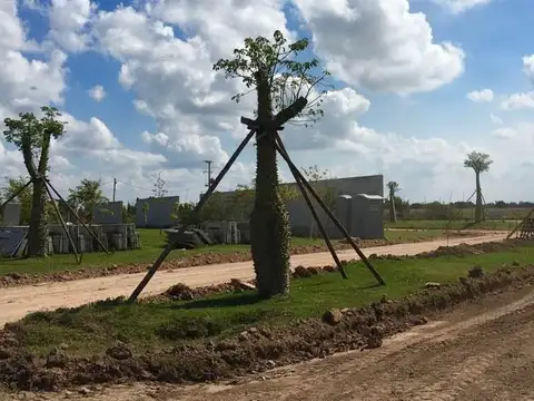 Campos de La Enriqueta