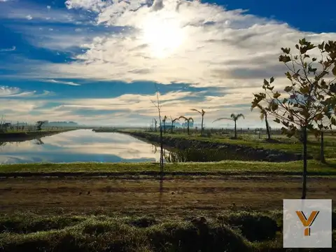 Campos de La Enriqueta