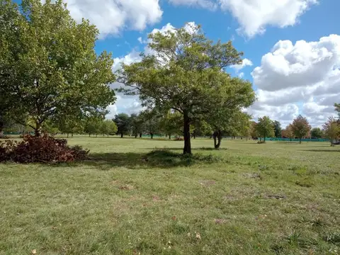 Terreno en Venta 51  mts Fondo