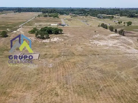 Florencio Parravicini 1000