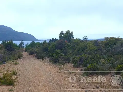 Chacra  9 has con Costa de Lago Lezana,  Cholila, Chubut