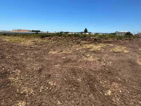 Camino Bajo de la Petisa 5300