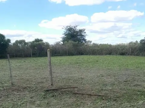 Terreno en Venta de 1562,0 m2