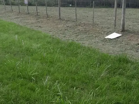 venta Terreno  Oliveros escritura