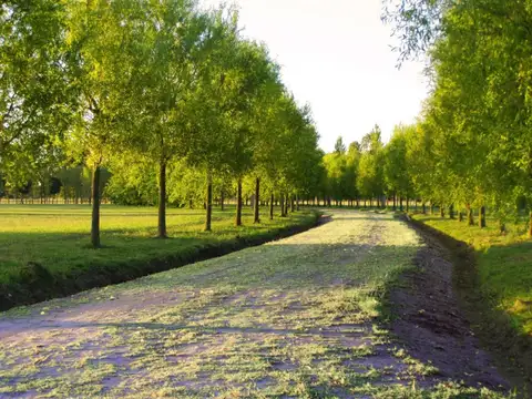 Terreno en Venta de 1440,0 m2