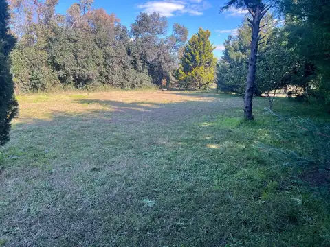 Terreno en Venta de 1200,0 m2