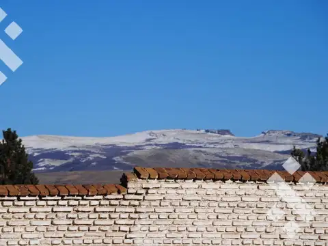 VENTA: CAMPO  1248 Has. en Las Horquetas - Alumine (Pcia. Neuquén) Patagonia  Argentina