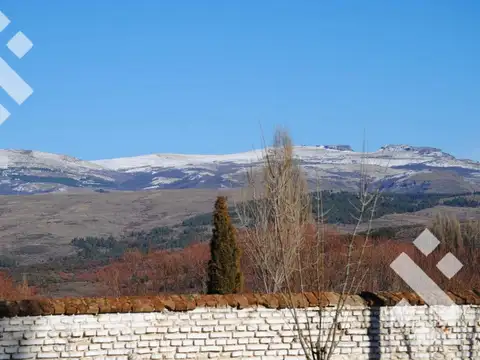Campo - Alumine