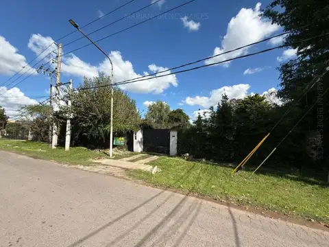 LARRALDE 800