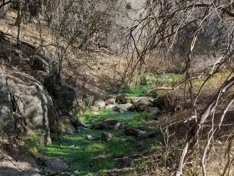 Camino 447