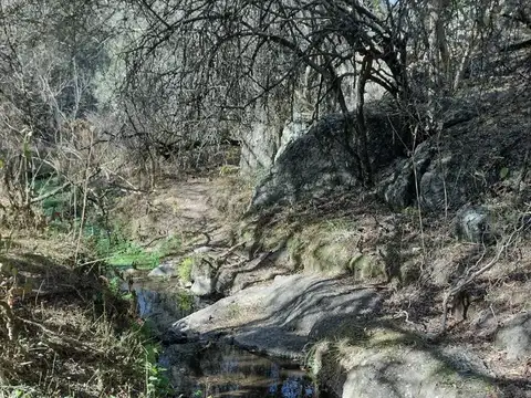 Camino 447