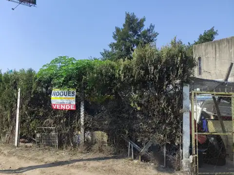 Colectora Panamericana