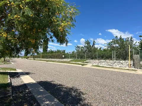 Barrio Privado Gualtallary - La Vencedora 400