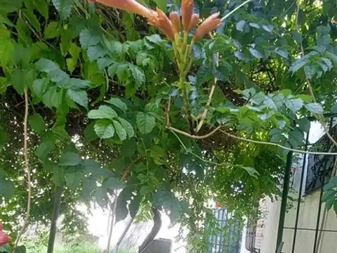 Casa en Venta 50 años